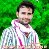 About Sanam Barbadi Kargi R Song